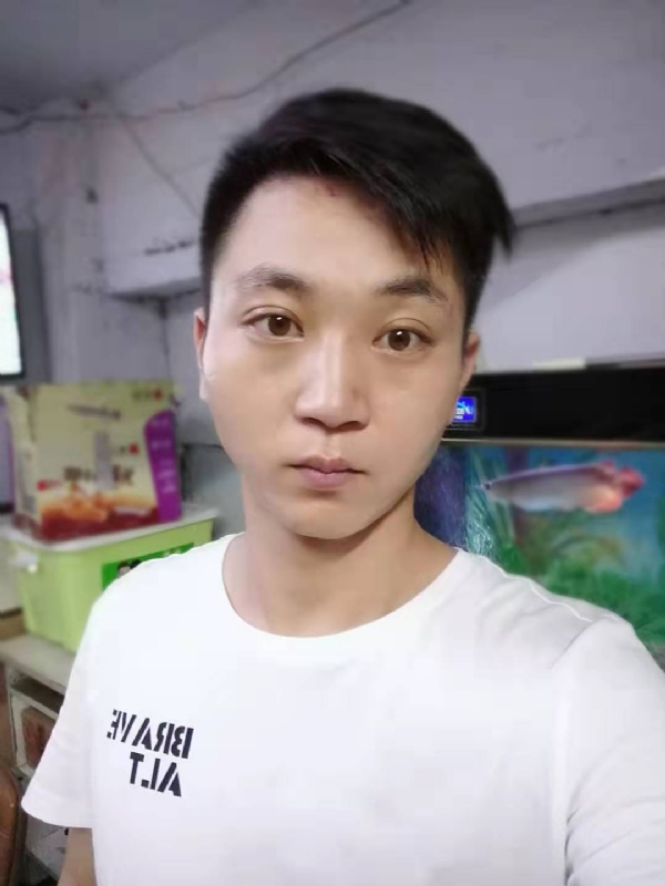七秒记忆的第一张照片--台湾上门女婿服务网
